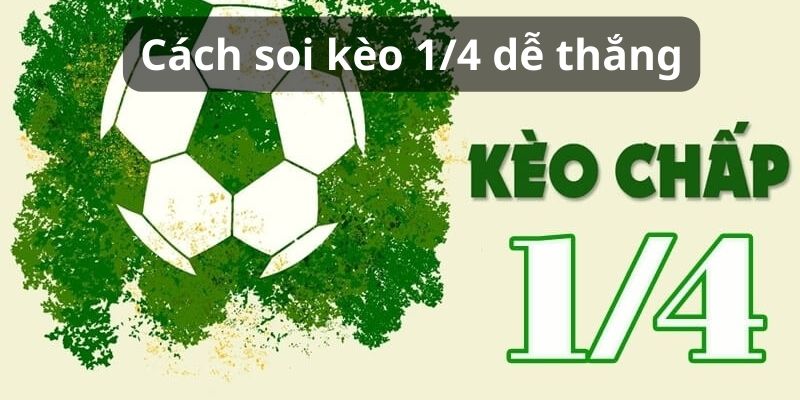 Cách soi kèo 1/4 dễ thắng Cách soi kèo 1/4 dễ thắng